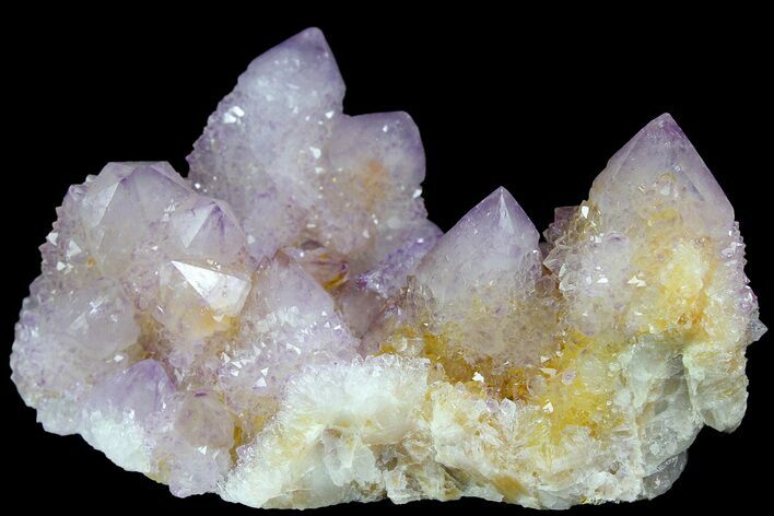 Cactus Quartz (Amethyst) Crystal Cluster - South Africa #180721